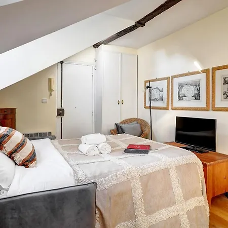 Apartment 1Br - Pantheon & Notre-Dame - Latin Quarter Flat Paris